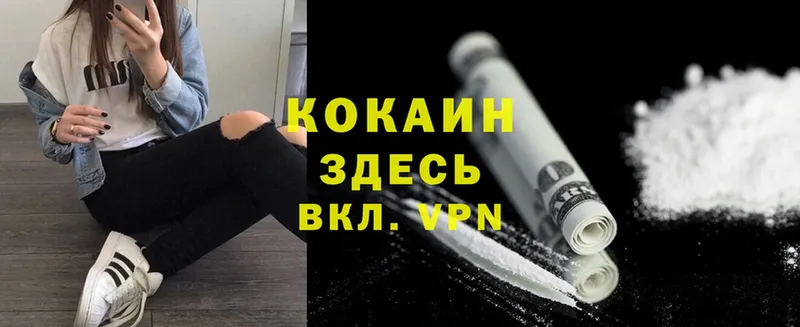 Cocaine Fish Scale  блэк спрут как войти  Рыльск 